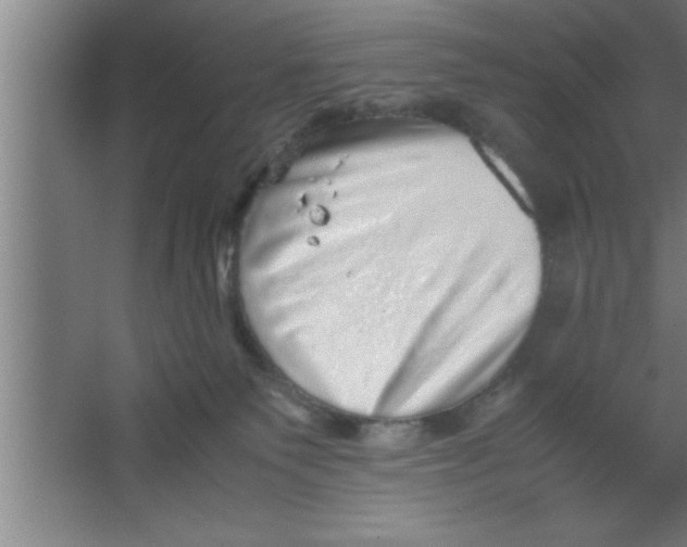 X0000067460135200604281838