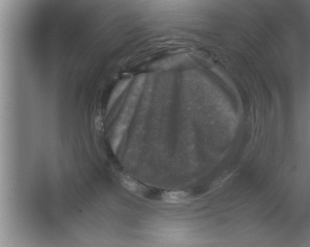 X0000067460137200604281838