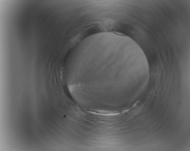 X0000067460139200604281838