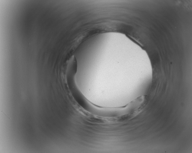 X0000067460141200604281838