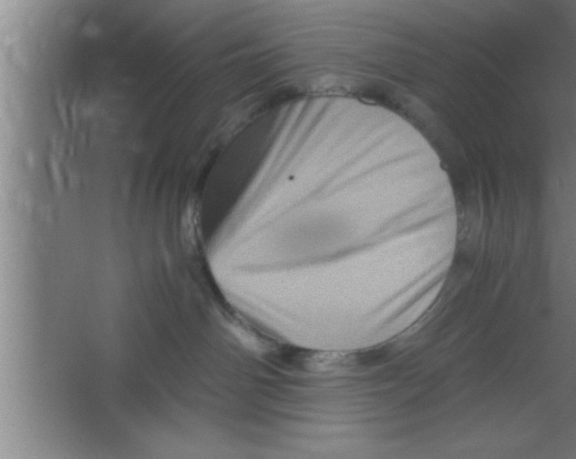 X0000067460142200604281838