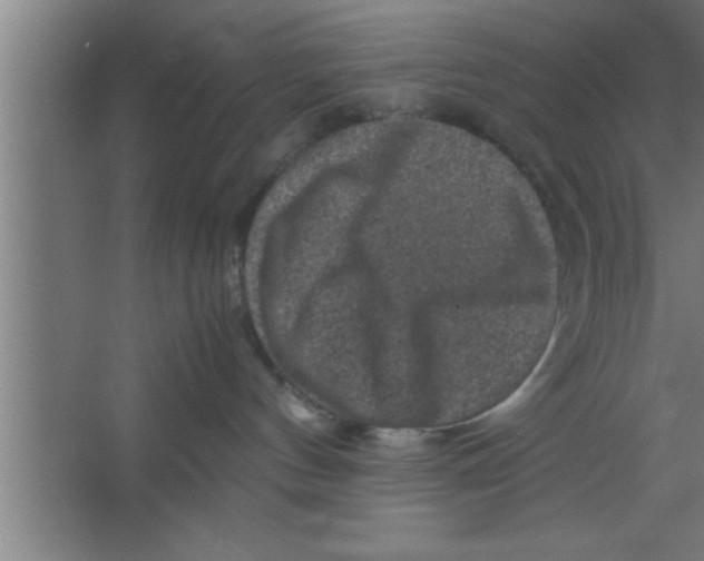 X0000067460144200604281838