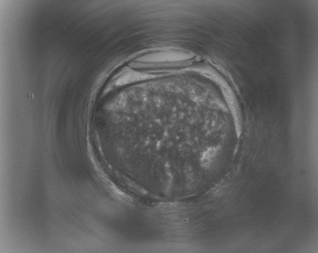 X0000067460145200604281837