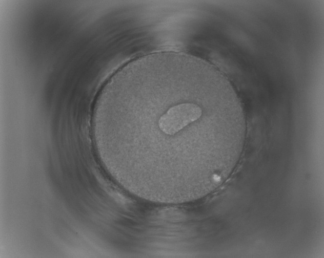 X0000067460146200604281837