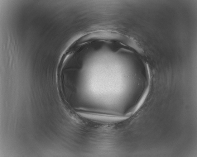 X0000067460148200604281837