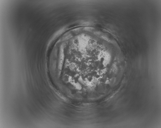 X0000067460149200604281837