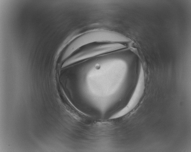 X0000067460150200604281837