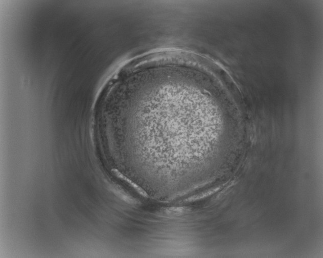 X0000067460152200604281837