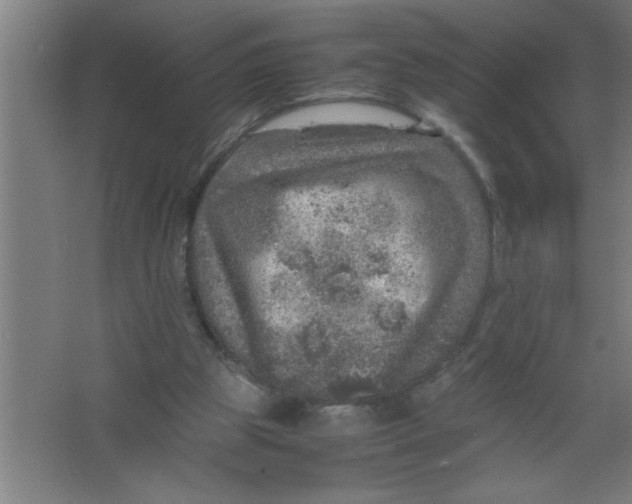 X0000067460153200604281837