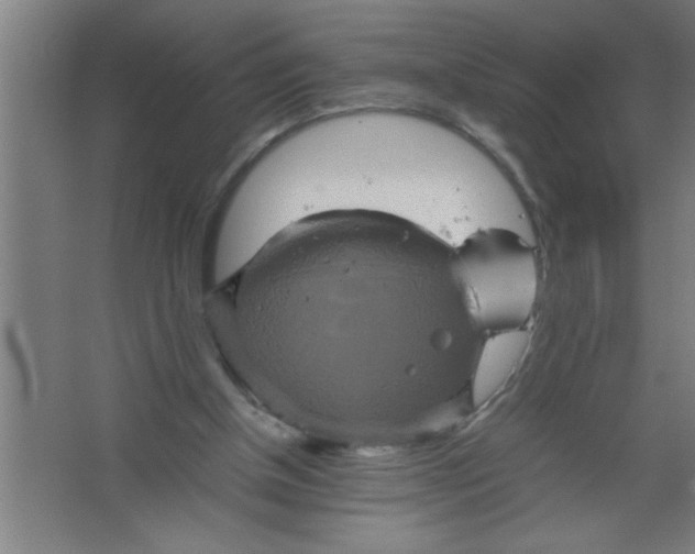 X0000067460154200604281837