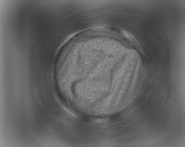 X0000067460155200604281837