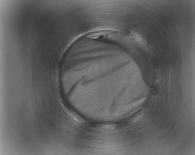 X0000067460156200604281837