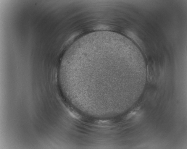 X0000067460157200604281837