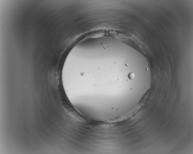 X0000067460160200604281837