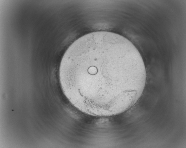 X0000067460162200604281837