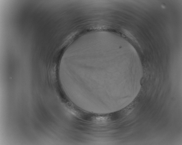 X0000067460163200604281837