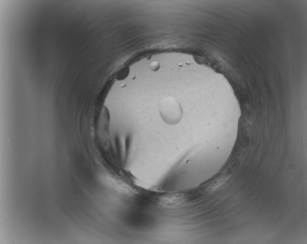 X0000067460164200604281837