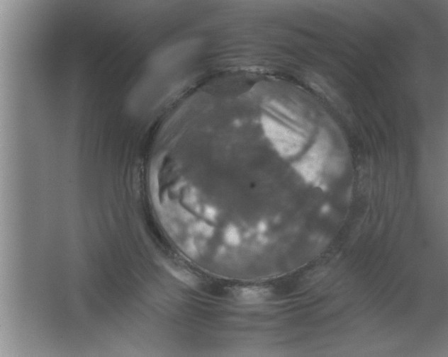 X0000067460165200604281837