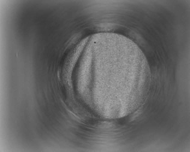 X0000067460166200604281837