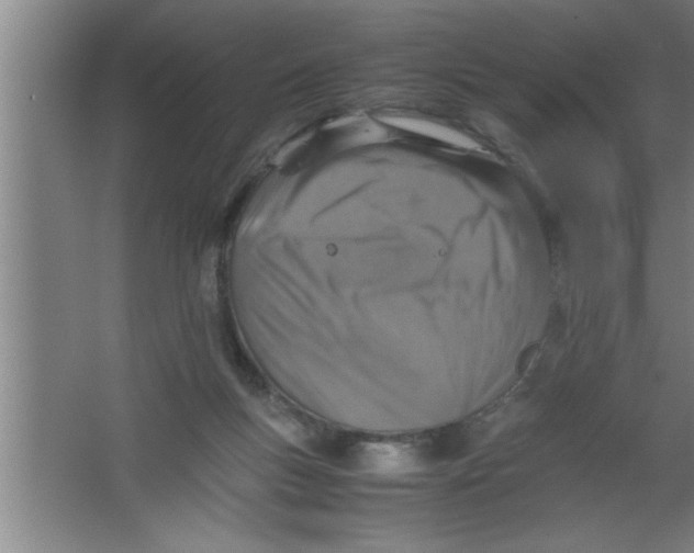 X0000067460167200604281837