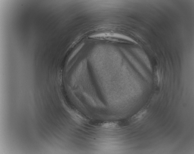 X0000067460168200604281837