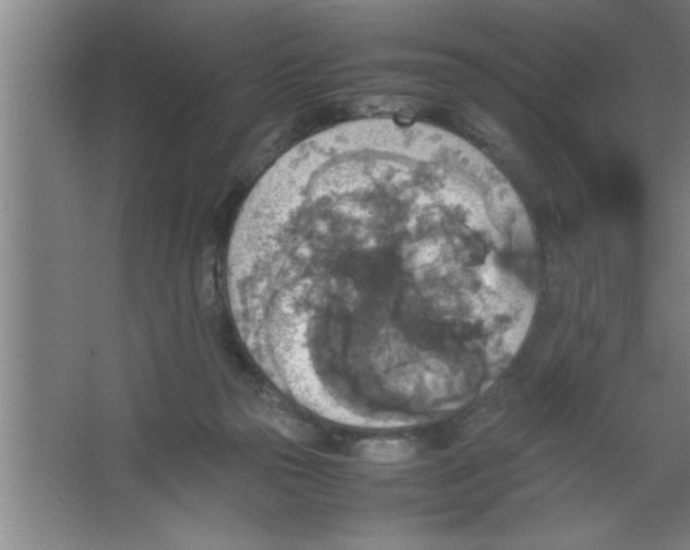 X0000067460169200604281837