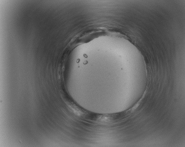 X0000067460174200604281837