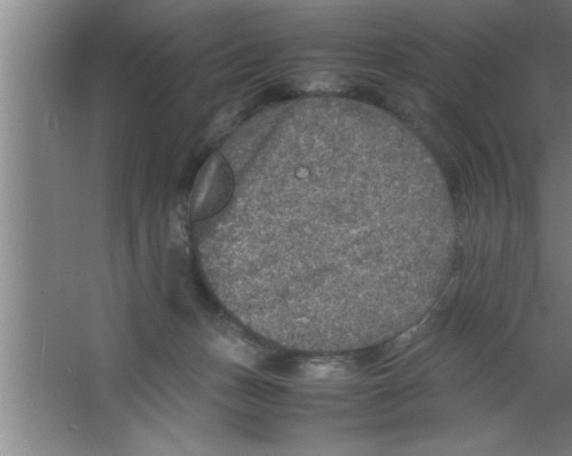 X0000067460175200604281837