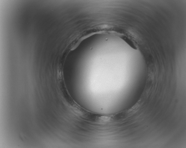 X0000067460176200604281837