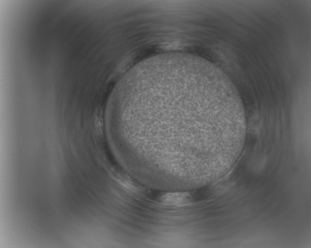 X0000067460179200604281837