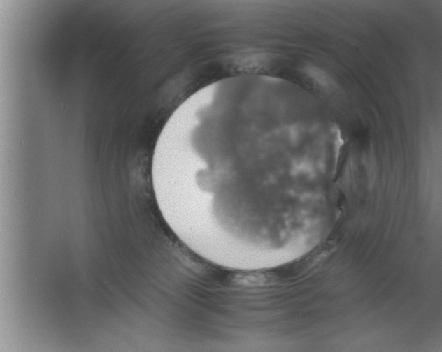 X0000067460181200604281838