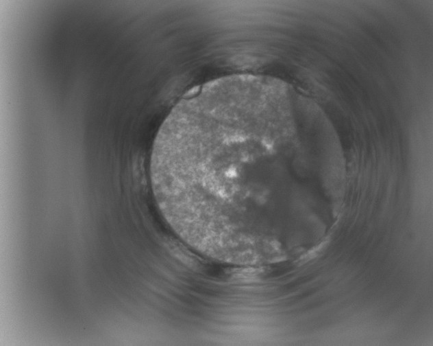 X0000067460182200604281838