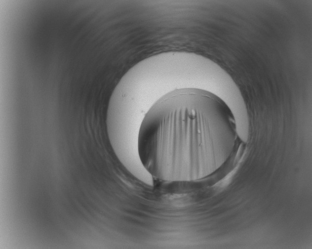 X0000067460186200604281838