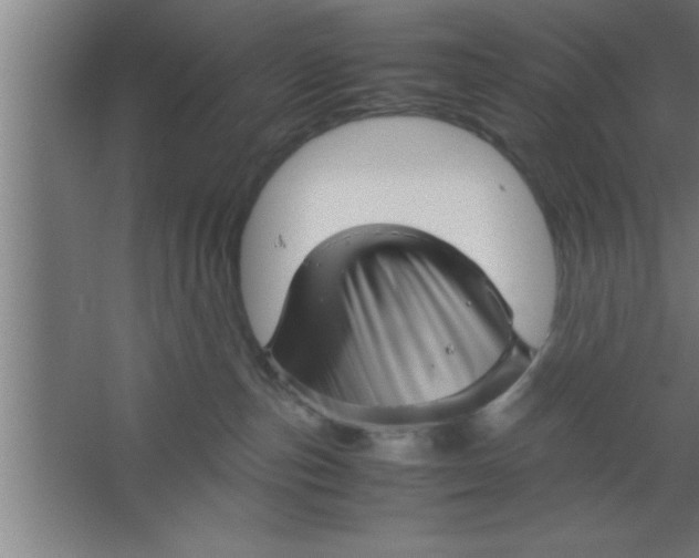 X0000067460187200604281838