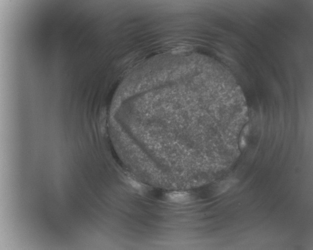 X0000067460189200604281838