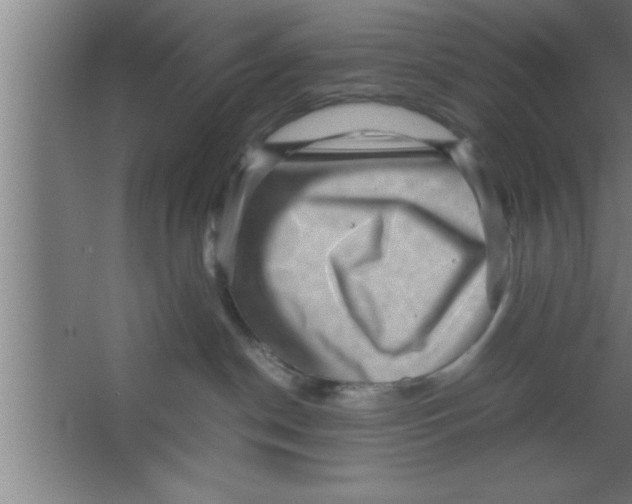 X0000067460190200604281838