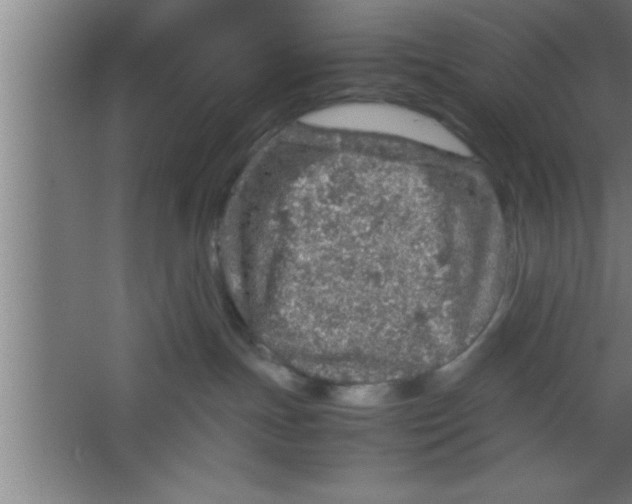 X0000067460191200604281838