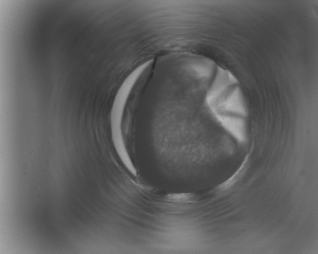 X0000067460192200604281838