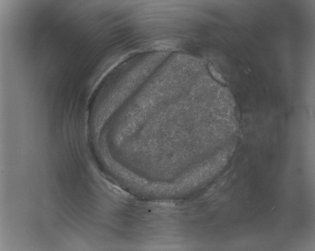 X0000067460194200604281837