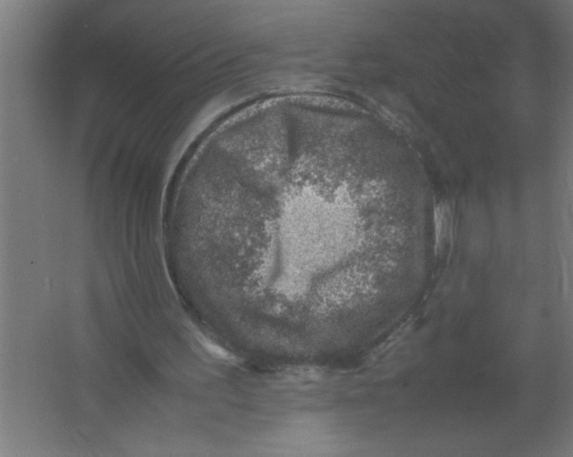 X0000067460195200604281837