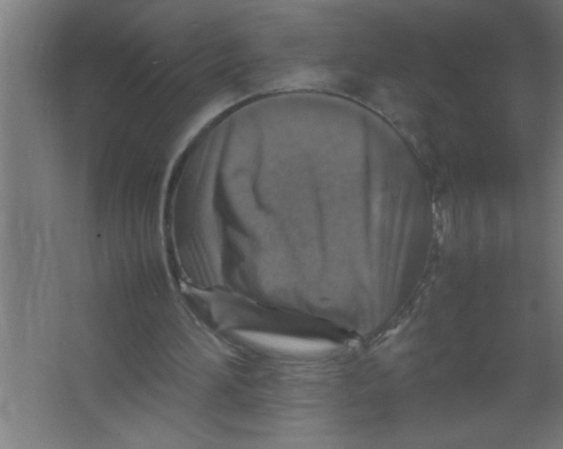 X0000067460196200604281837