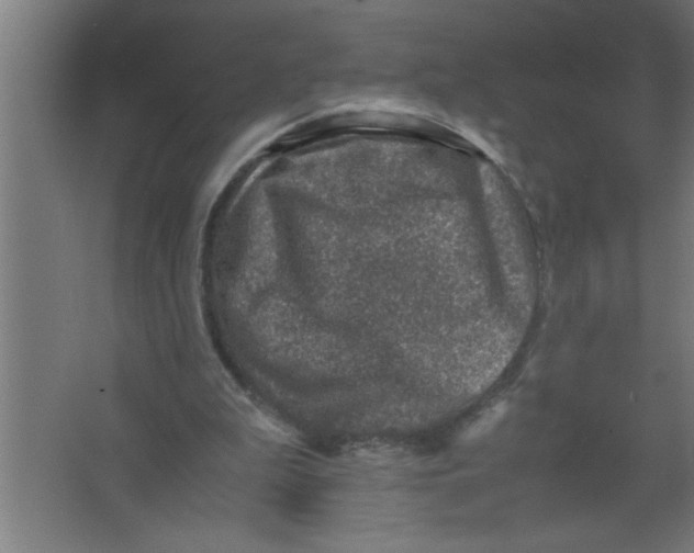 X0000067460199200604281837