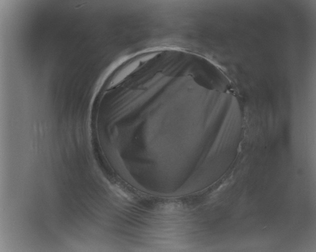 X0000067460200200604281837