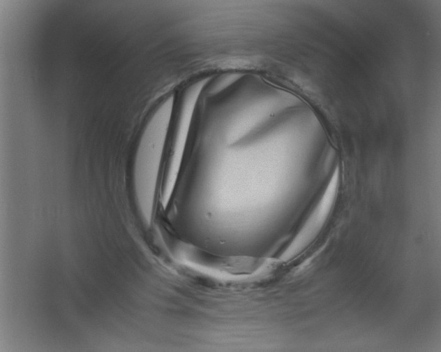 X0000067460201200604281837