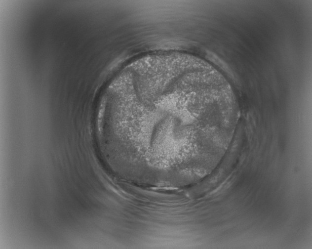 X0000067460203200604281837