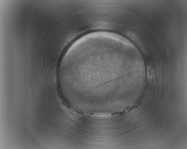 X0000067460204200604281837