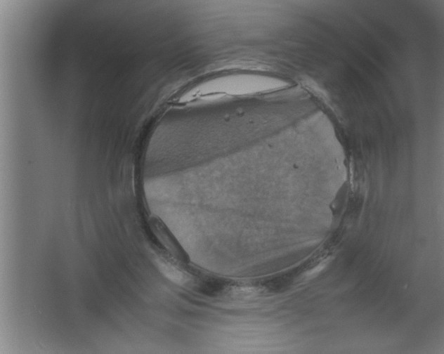 X0000067460205200604281837