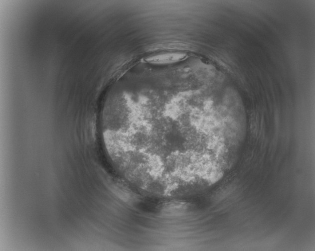 X0000067460206200604281837