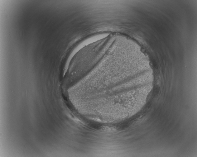 X0000067460207200604281837