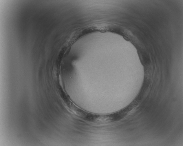 X0000067460213200604281837